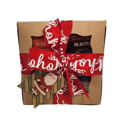 4 Pack BUSTED & WINDED Goat Milk Soap Christmas Gift Set FREE SHIPPING